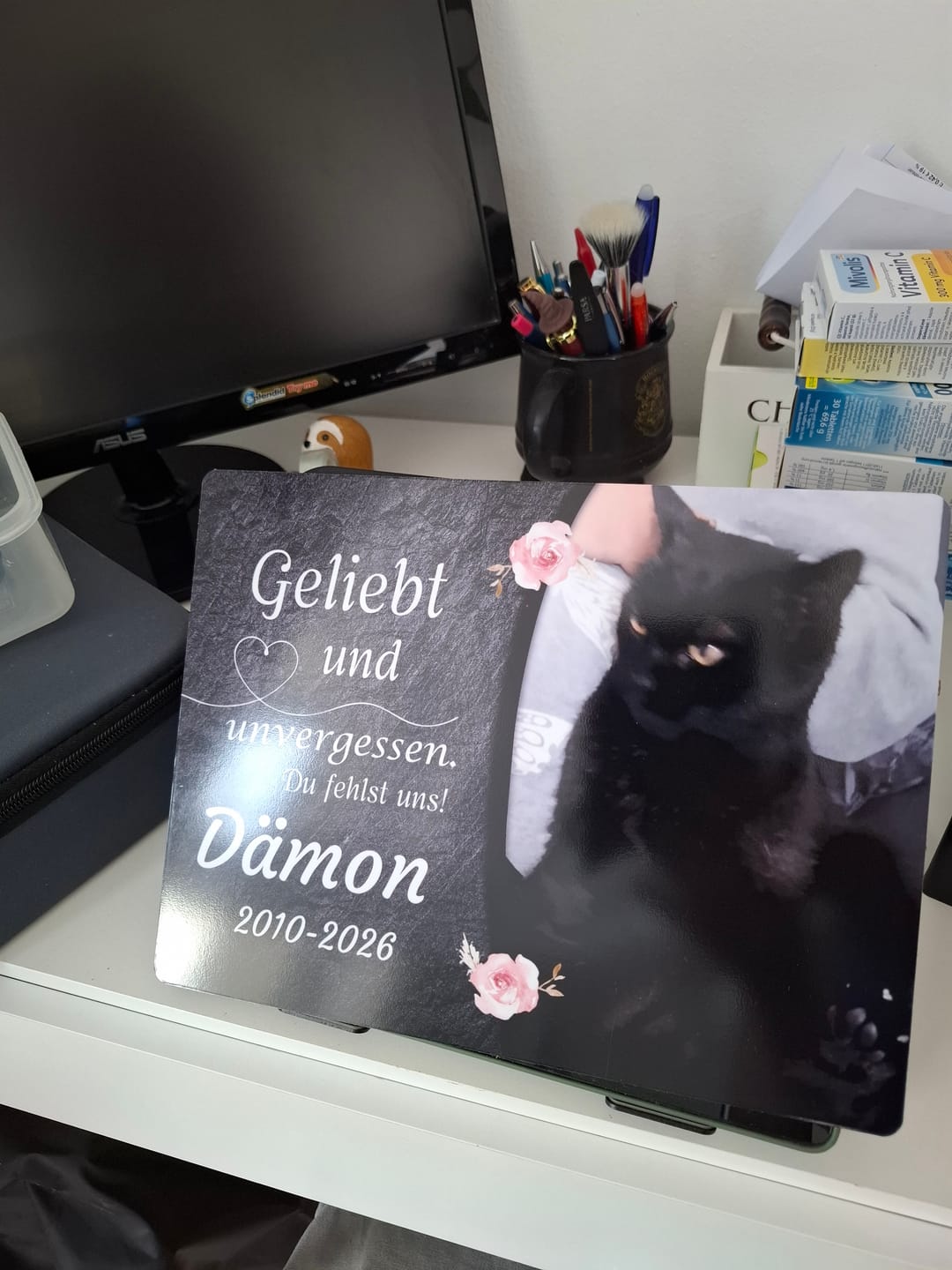 Customer photo review of Katzen Gedenktafel mit Foto & Spruch (UV- & Wetterfest)
