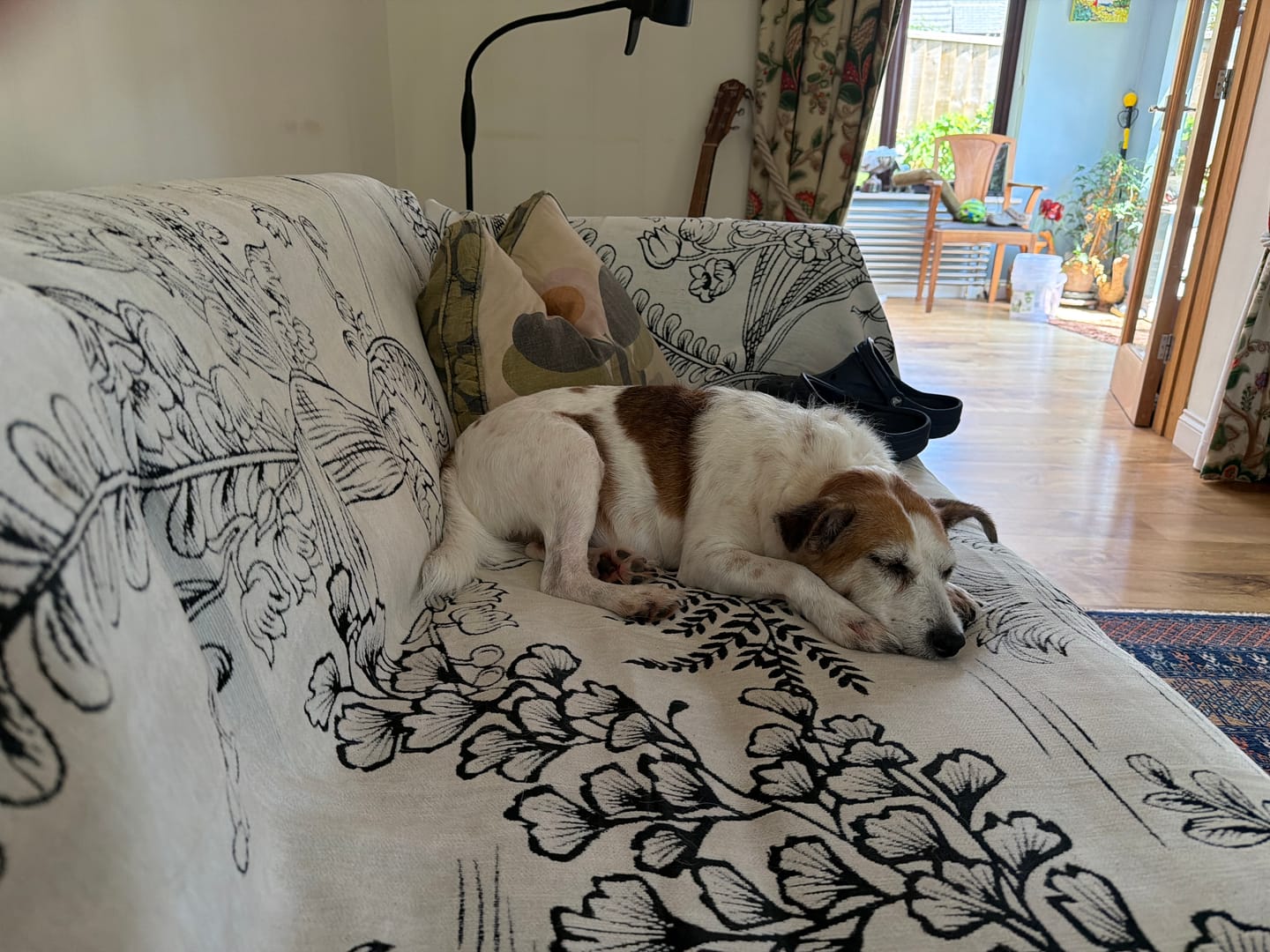 Customer photo review of Pet Couch Covers