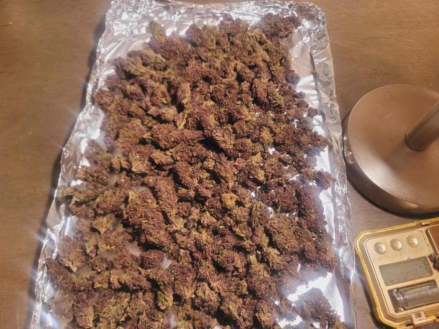 Customer photo review of SFV OG - Bulk - Indica
