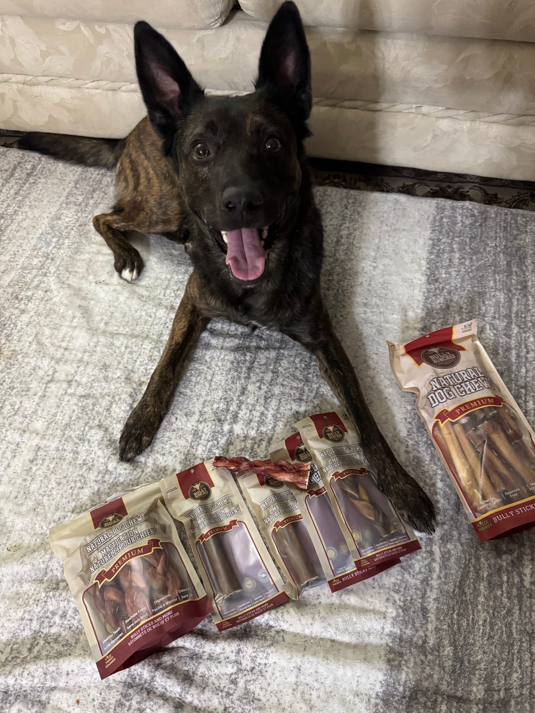 Customer photo review of 6 Inch Monster Bully Stick