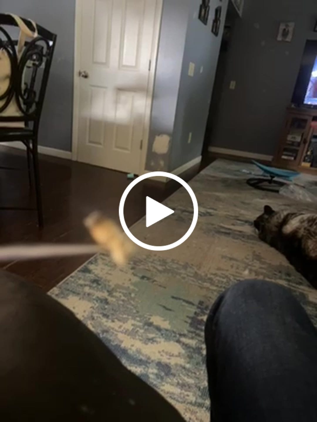 Customer video review of Gary Payton Shake (BOGO)