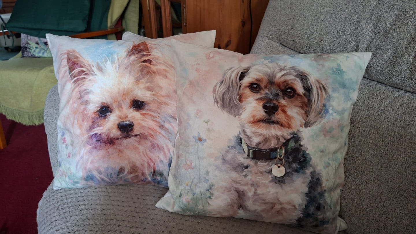 Customer photo review of Watercolour - Personalised Pillow