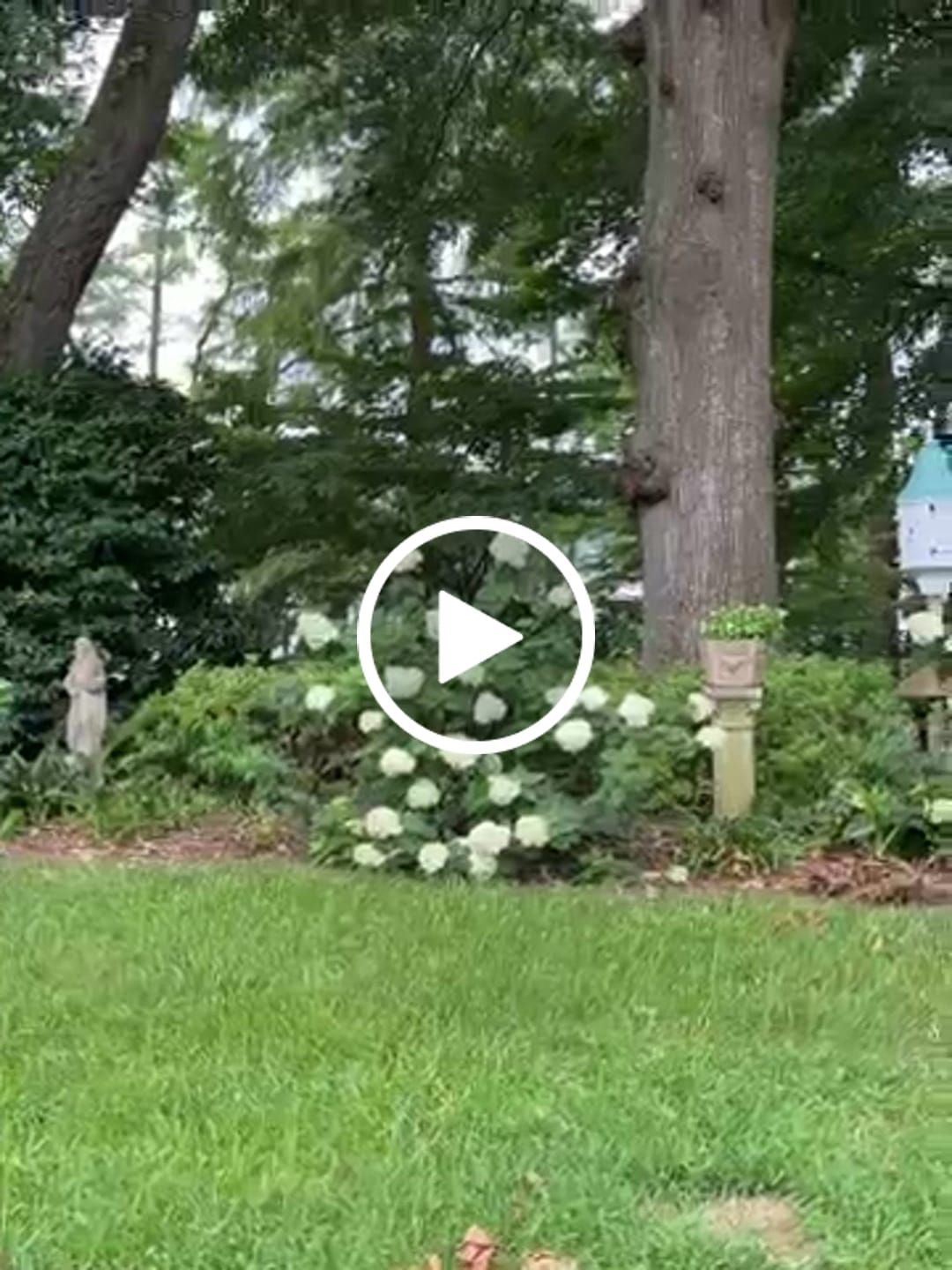 Customer video review of Copper Roof Dovecote Birdhouse 42x16