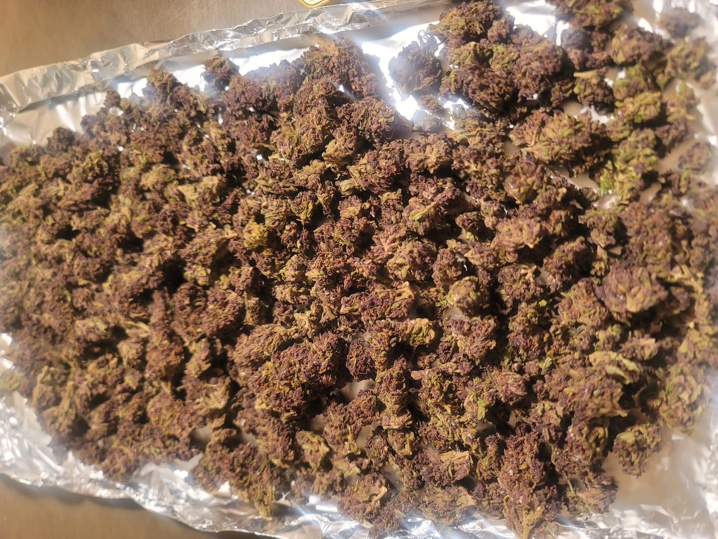 Customer photo review of Boutique Exotics Obama Runtz - Bulk - Hybrid