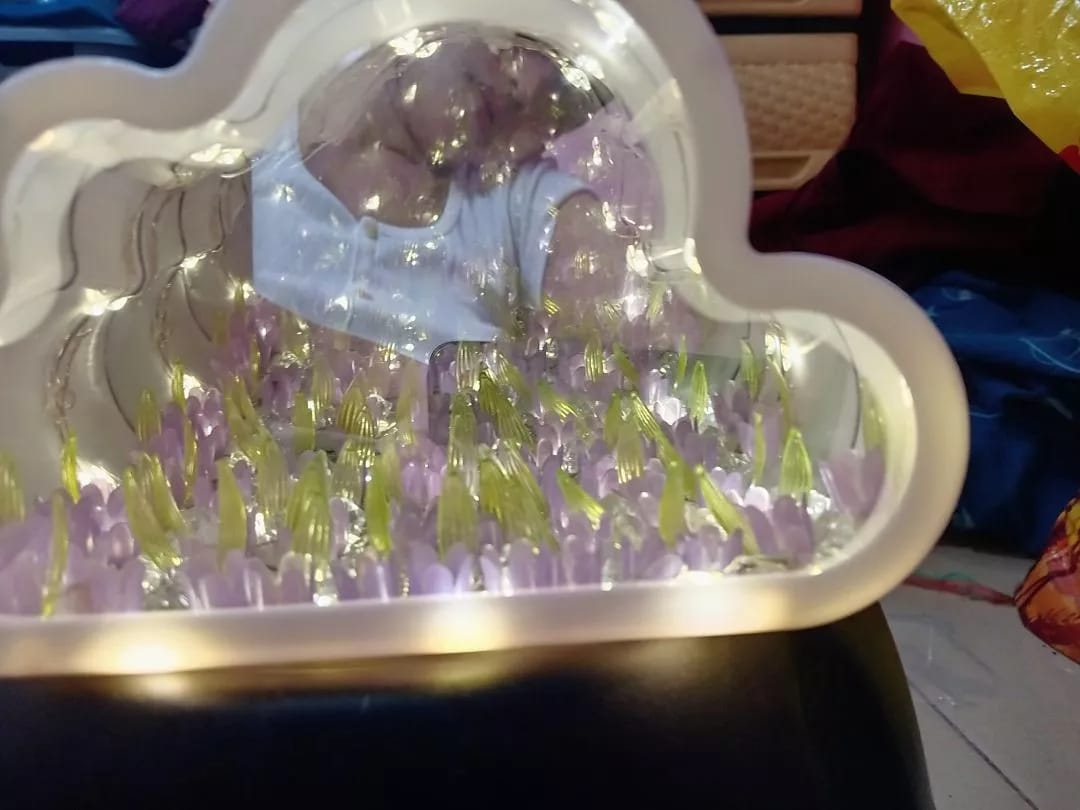 Customer photo review of Hidden Bloom Cloud - 2-in-1 Mirror Tulip Night Lamp