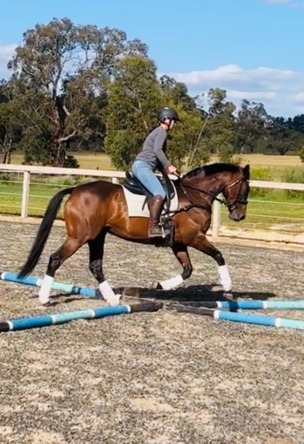 Customer photo review of Ulcer Armour+