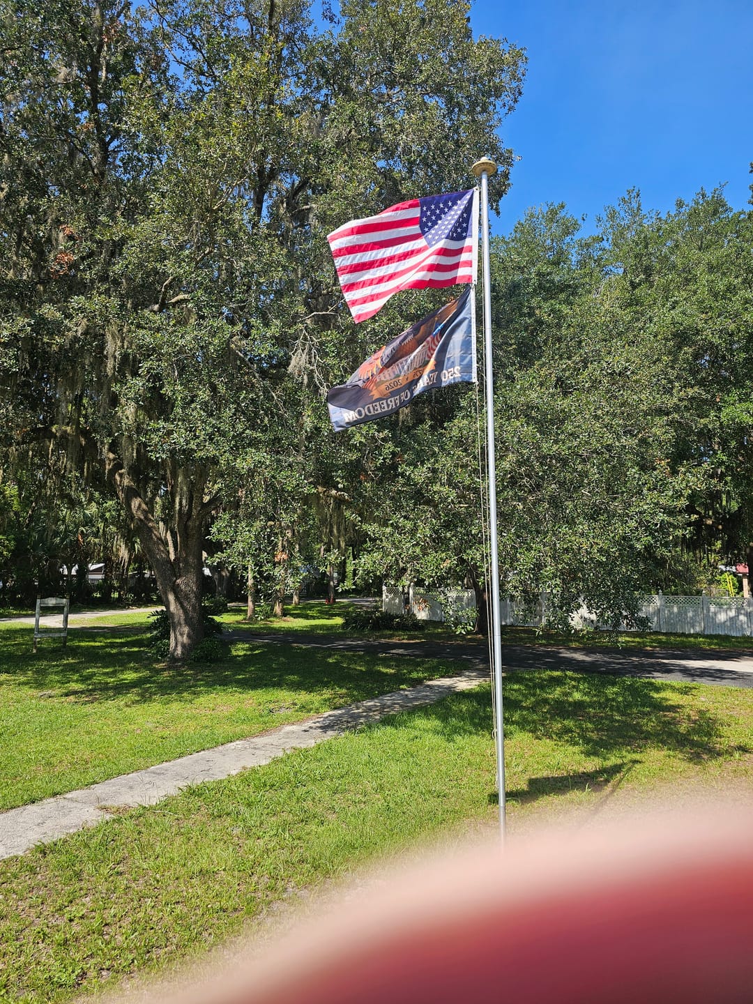 Customer photo review of 🇺🇸 250 Years of Freedom Flag – Full Size 3x5 ft Eagle & White House Patriotic Anniversary Banner (1776–2026)