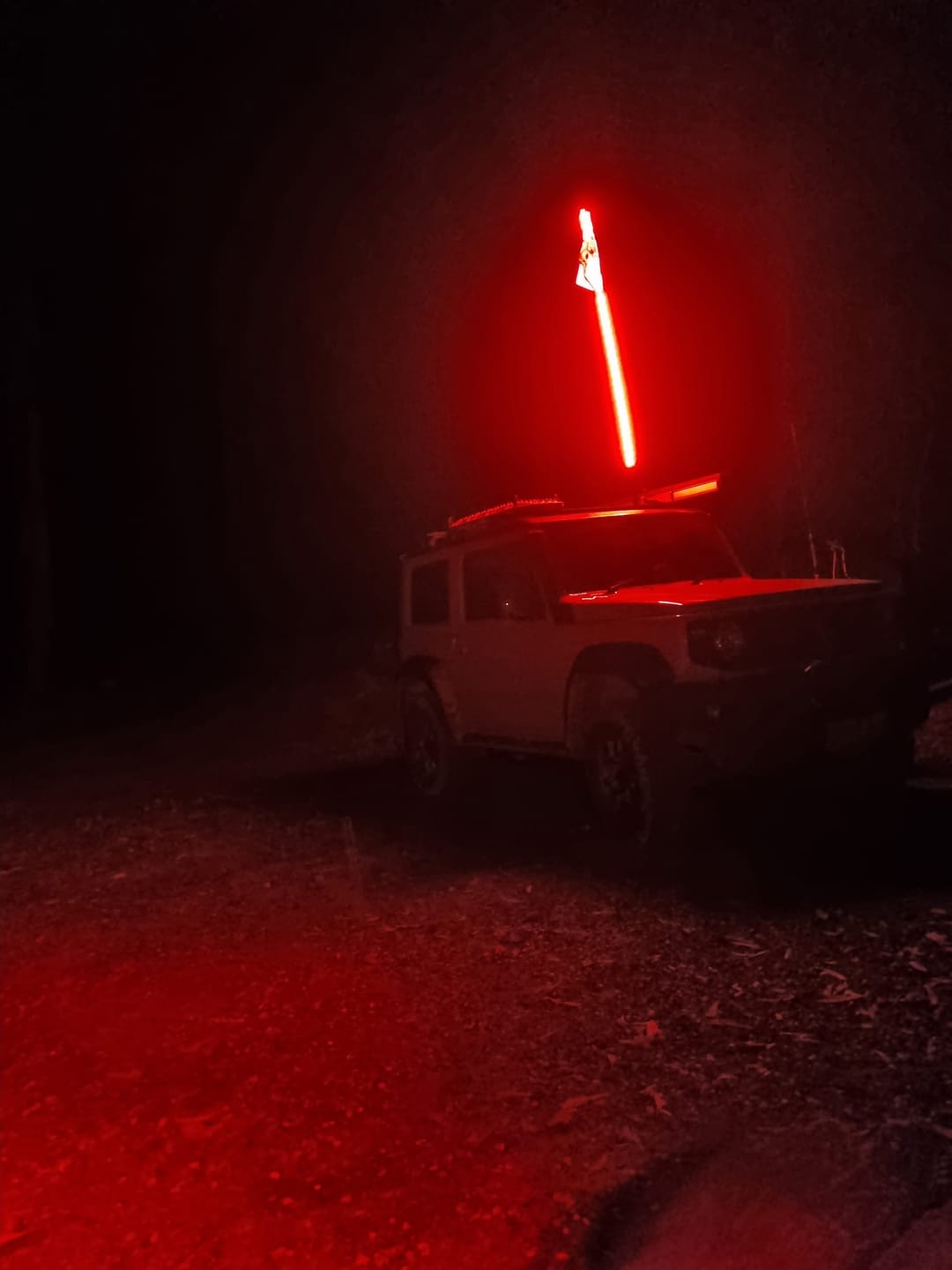 Customer photo review of 6ft LED Whip Lights