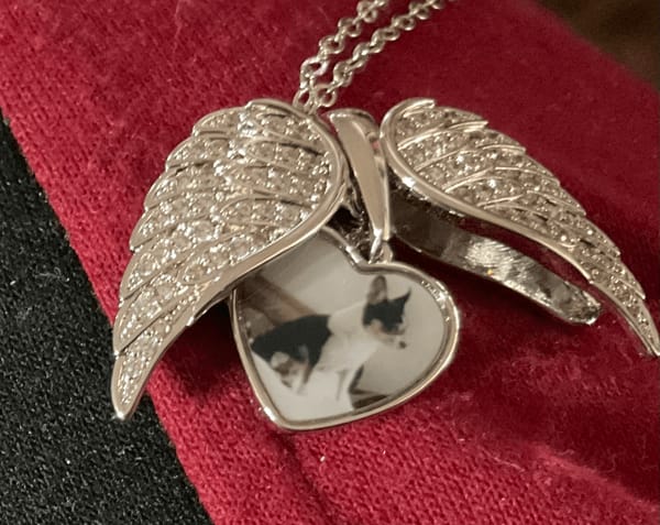 Customer photo review of Custom Angel Wing Photo Locket Necklace