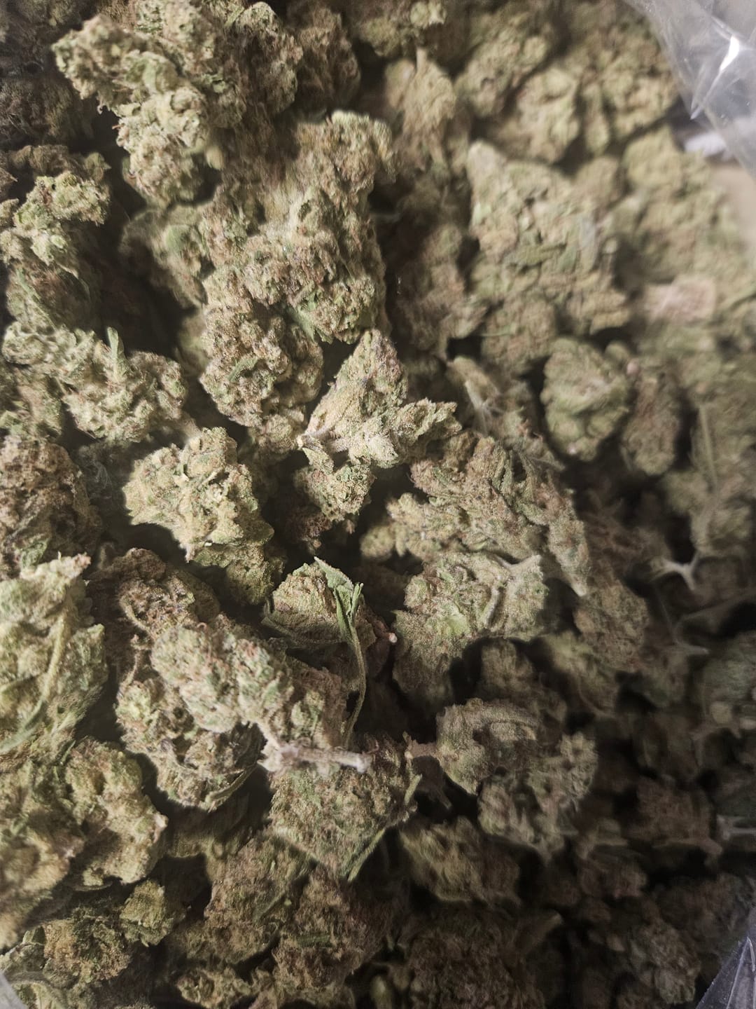 Customer photo review of Elmer's Glue - Bulk - Hybrid