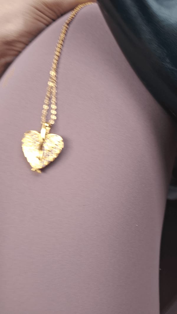 Customer photo review of Custom Angel Wing Photo Locket Necklace