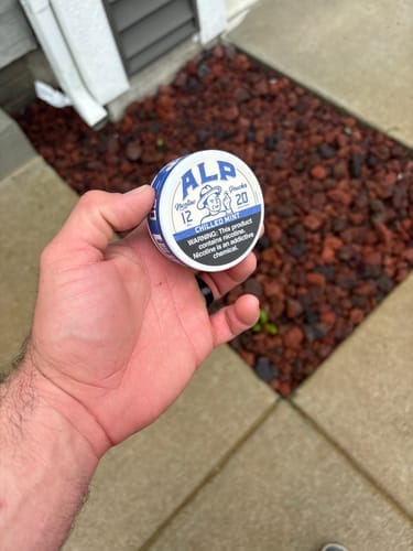 Customer photo review of Chilled Mint Nicotine Pouches