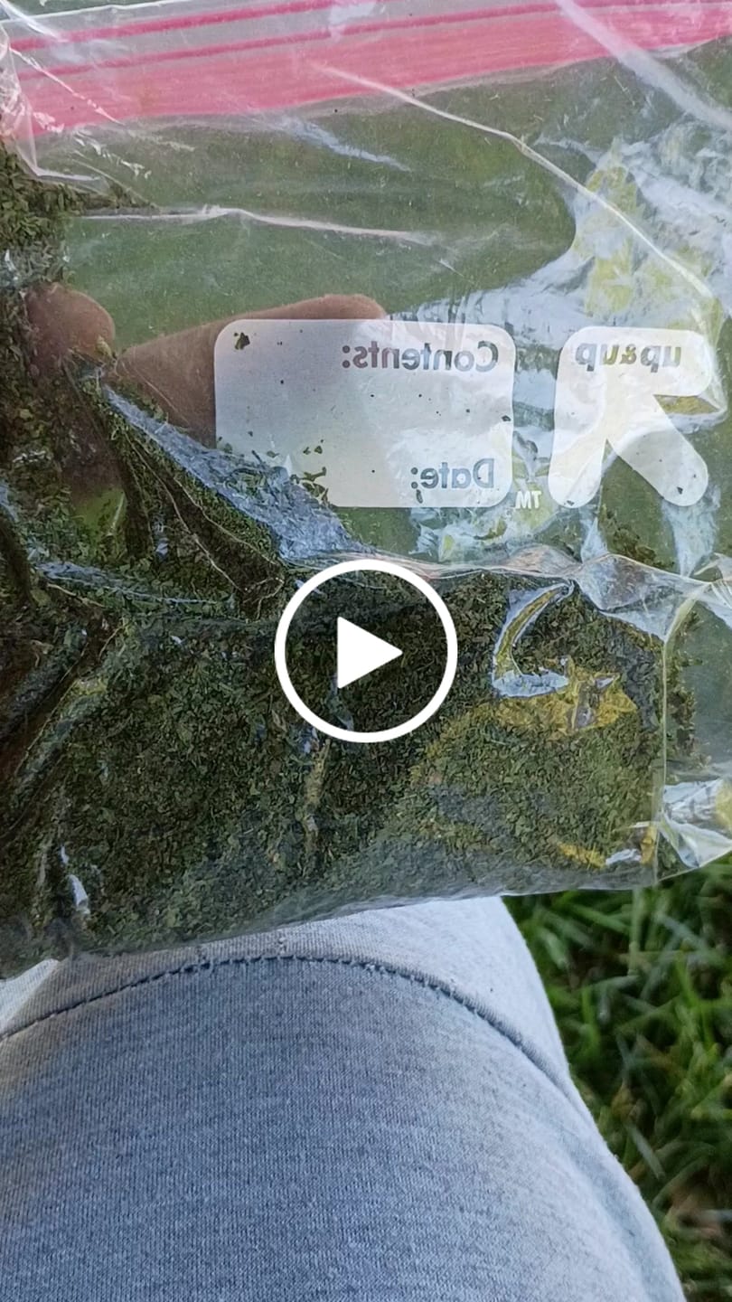 Customer video review of Gary Payton Shake (BOGO)
