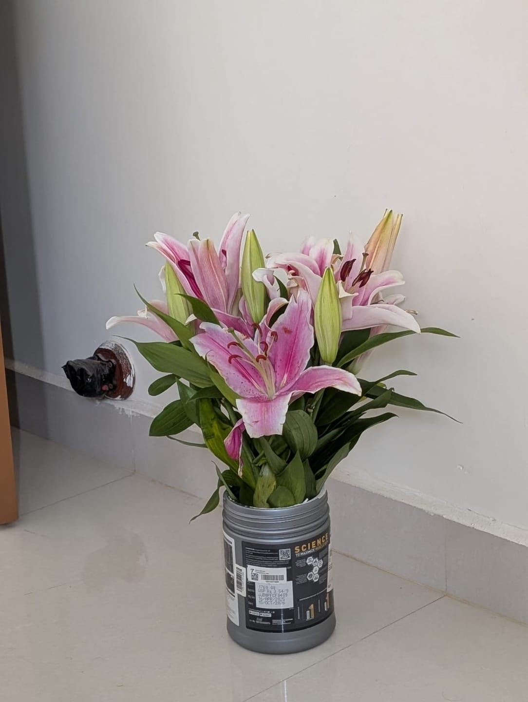Customer photo review of Oriental Lily