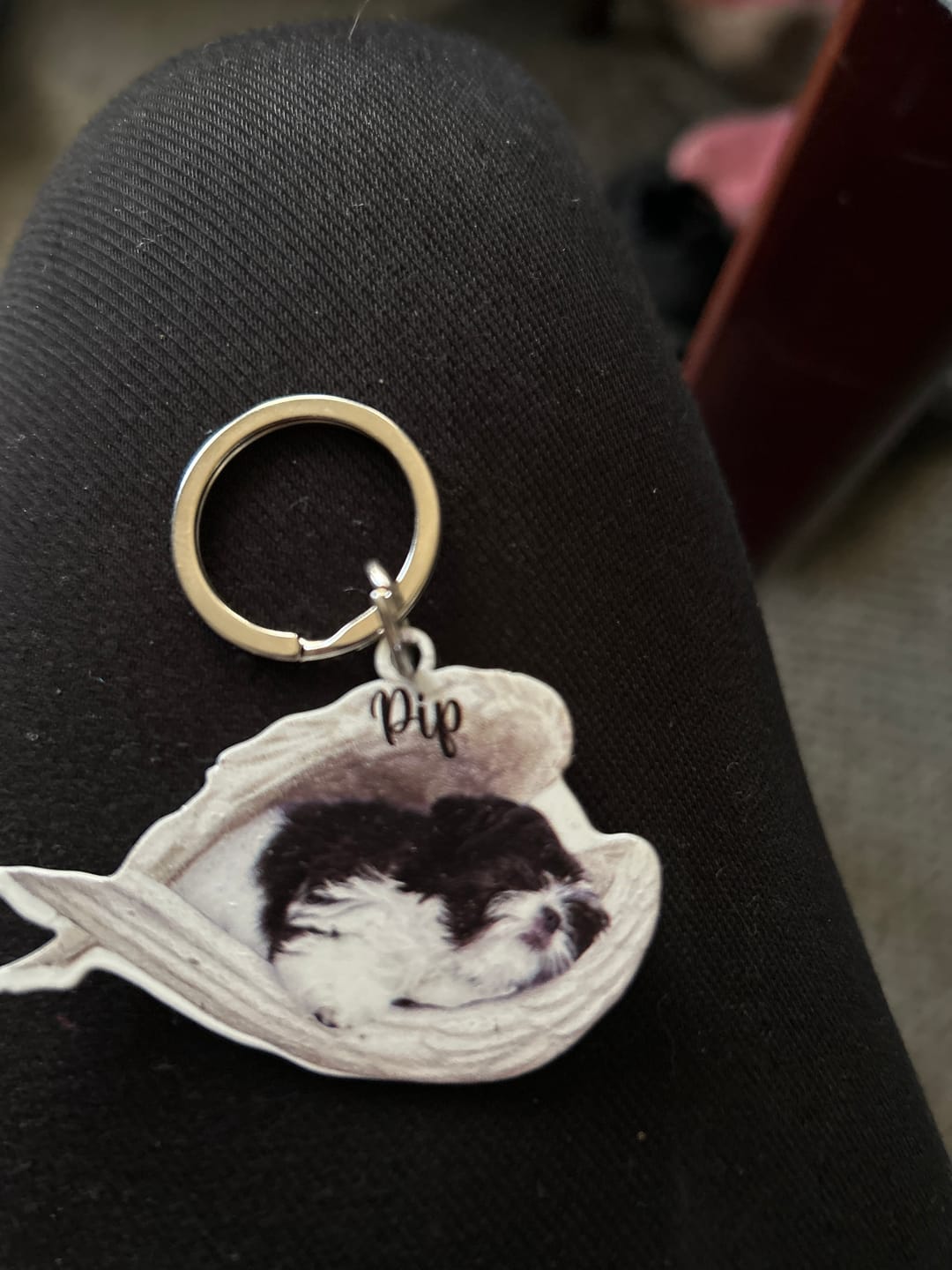 Customer photo review of Personalized Stainless Dog Sleeping Angel Keychain - Double Sides Printed