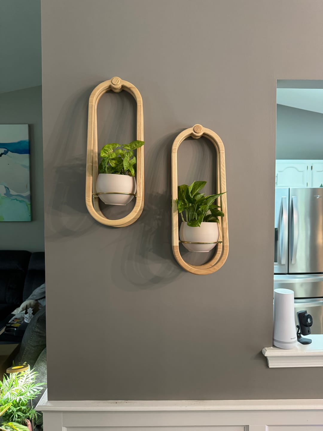 Customer photo review of Frame Wall Planter + Pot Duo