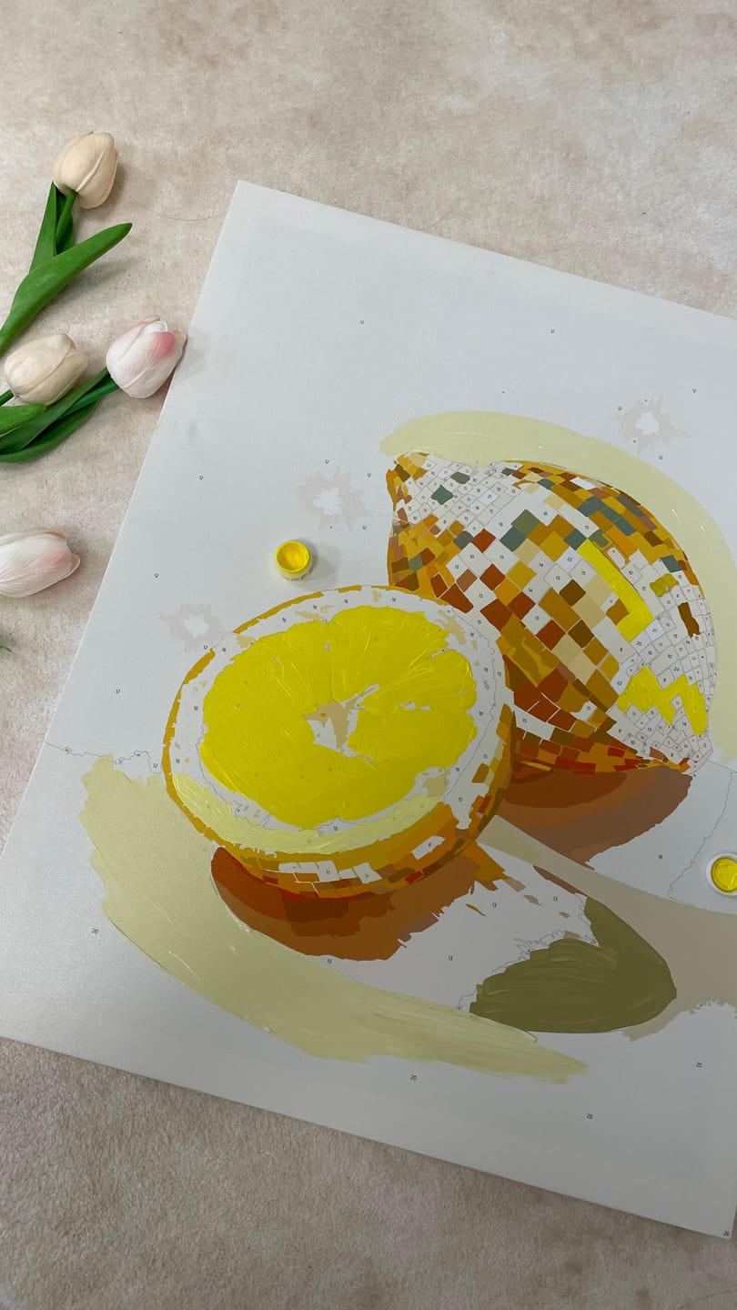 Customer photo review of Disco - Lemon | Paint by Number