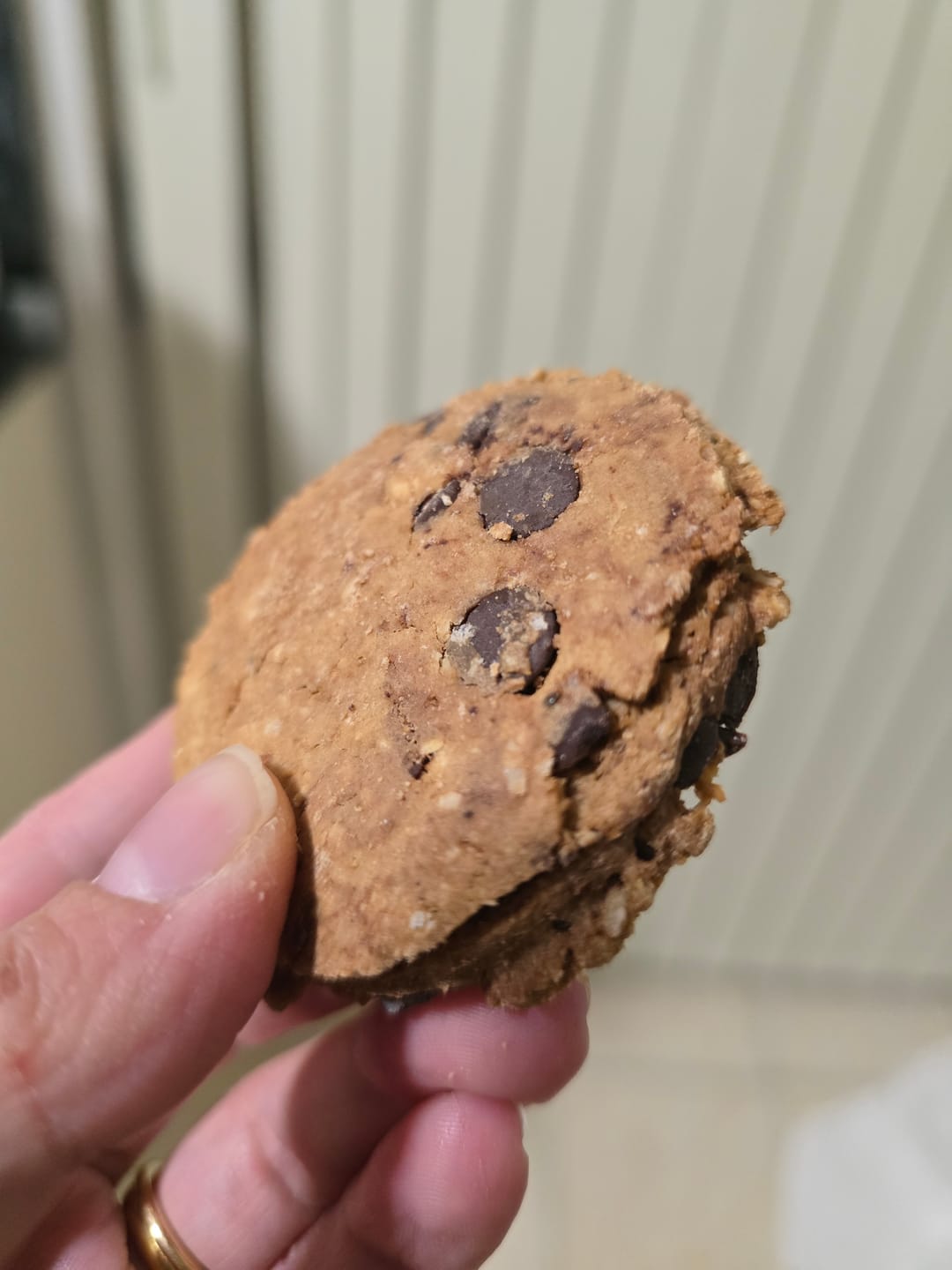Customer photo review of Chocolate Chip Mama Biscuits