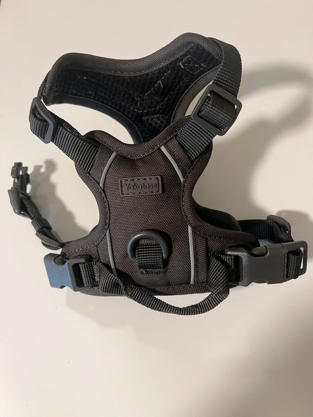 Customer photo review of Brun hundesele