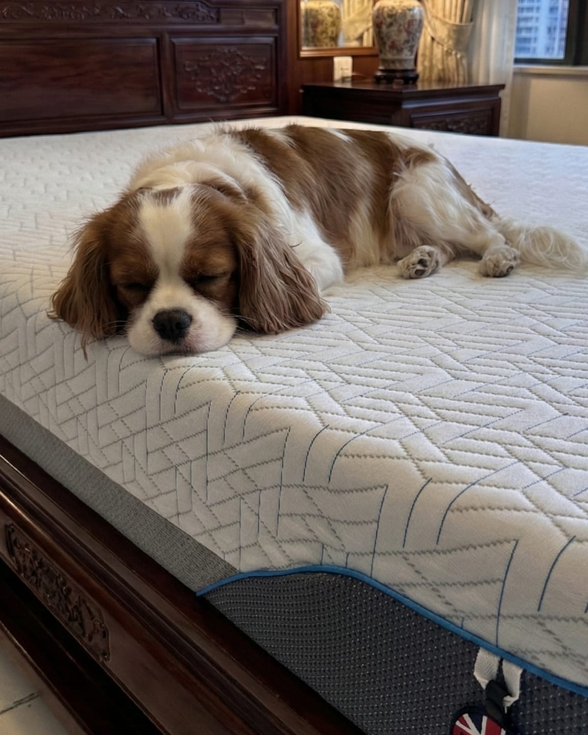 Customer photo review of 英國 Haley Hybrid Mattress 床褥