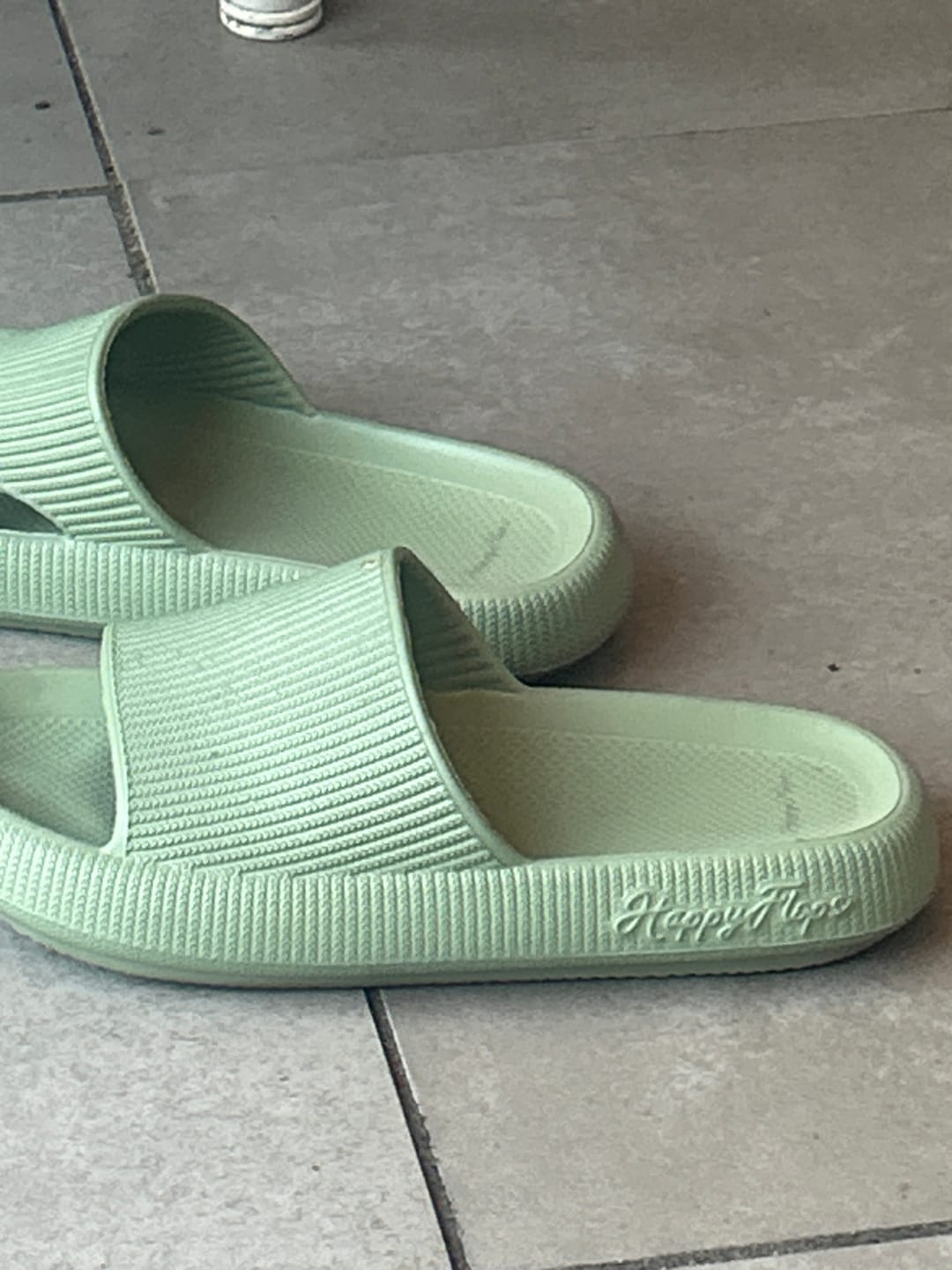 Customer photo review of HappyFlops Botanics