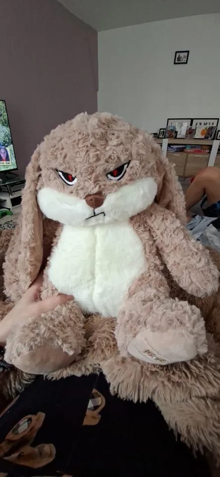 Customer photo review of Pompón™ El Conejito Gruñón Más Abrazable del Mundo