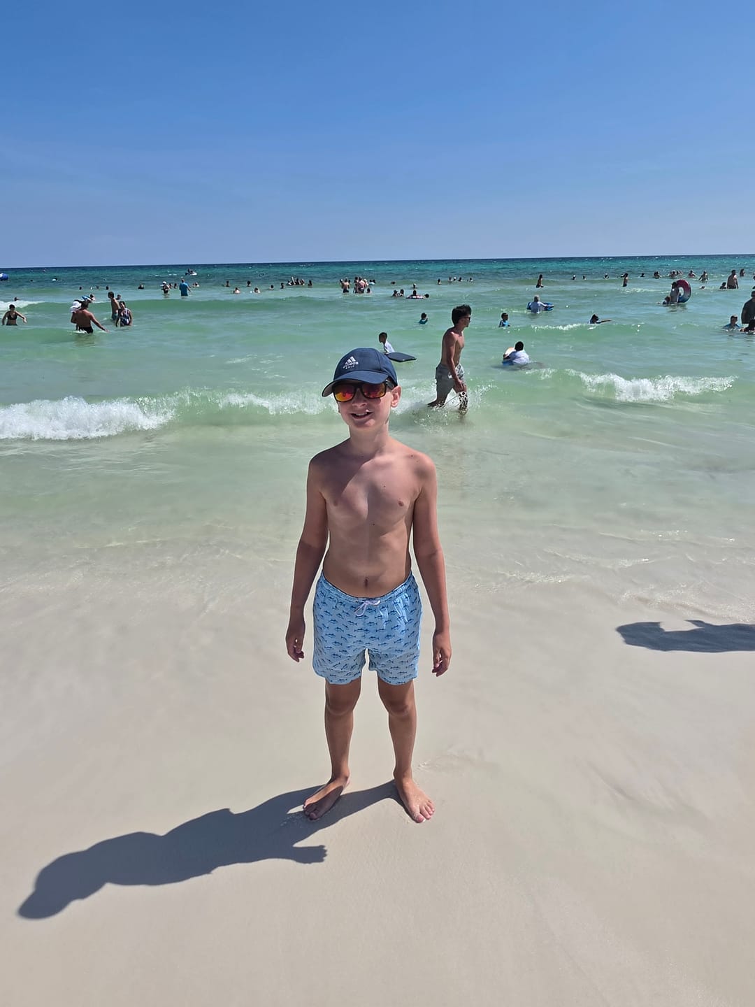 Customer photo review of Shark Attack