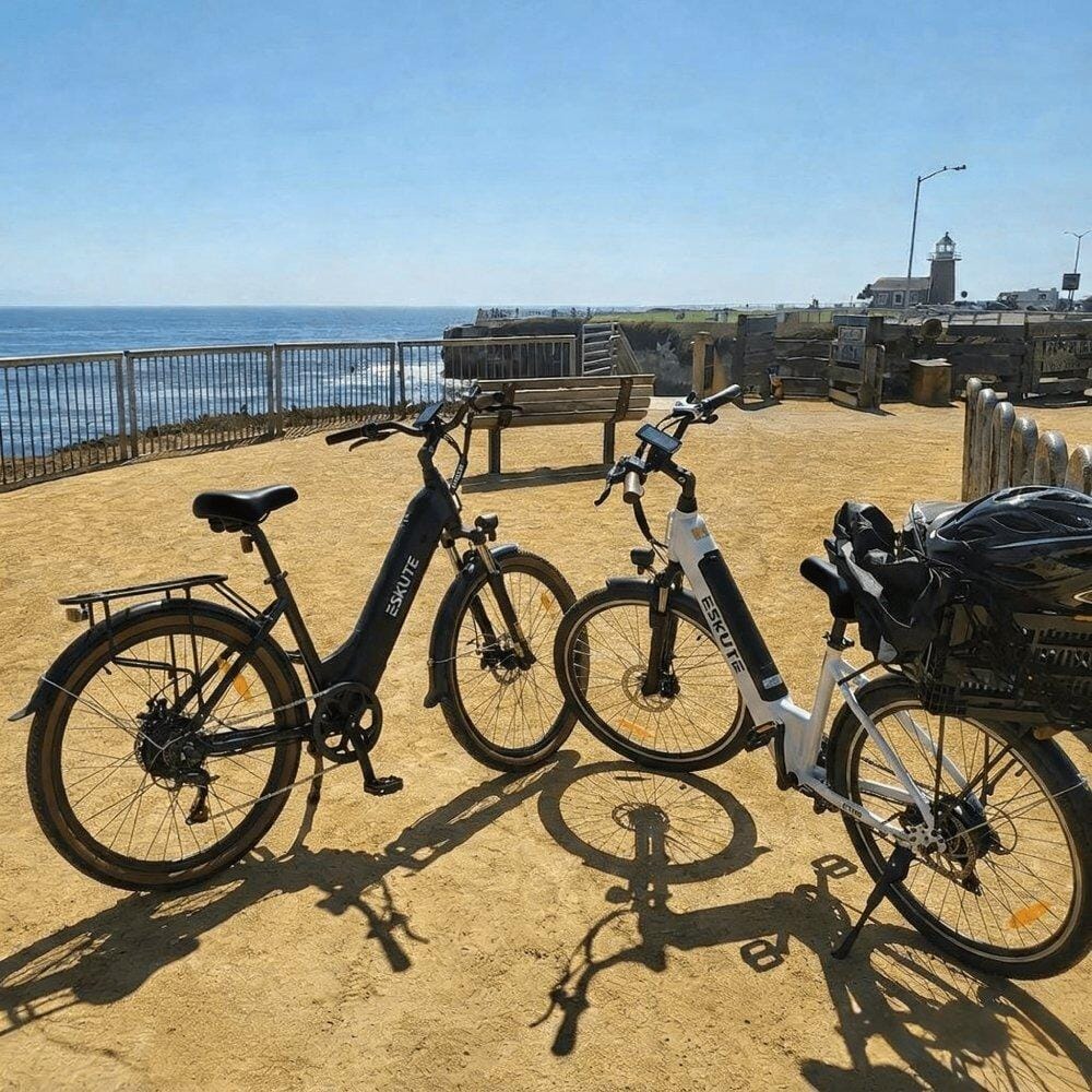 Customer photo review of Eskute C202 City E-Bike