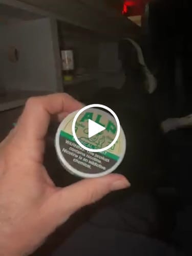Customer photo review of Tropical Fruit Nicotine Pouches
