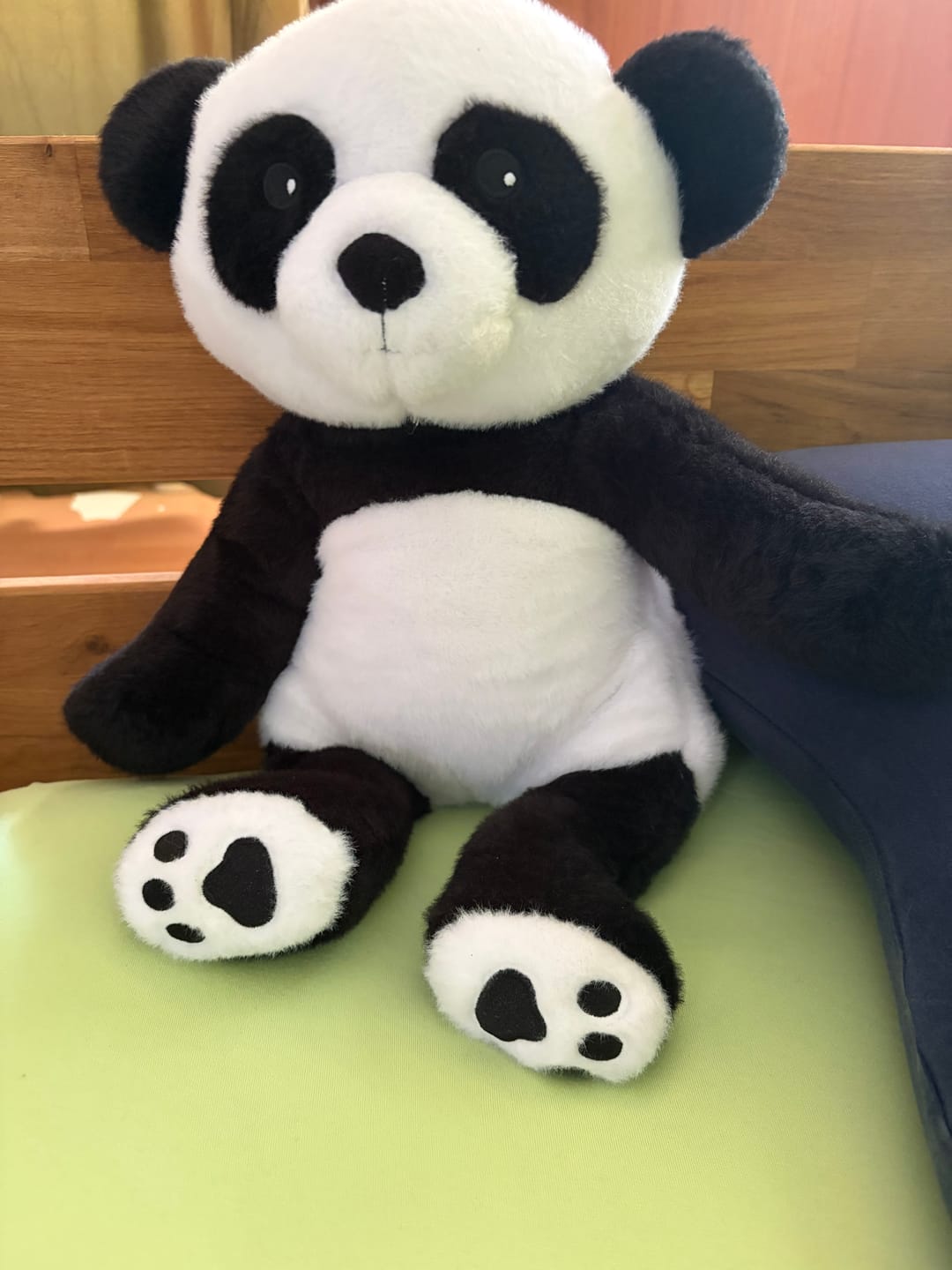 Customer photo review of Lotgenootje Panda 2kg