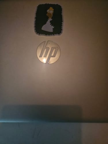 Customer photo review of Homer Bushes Meme Waterproof Sticker