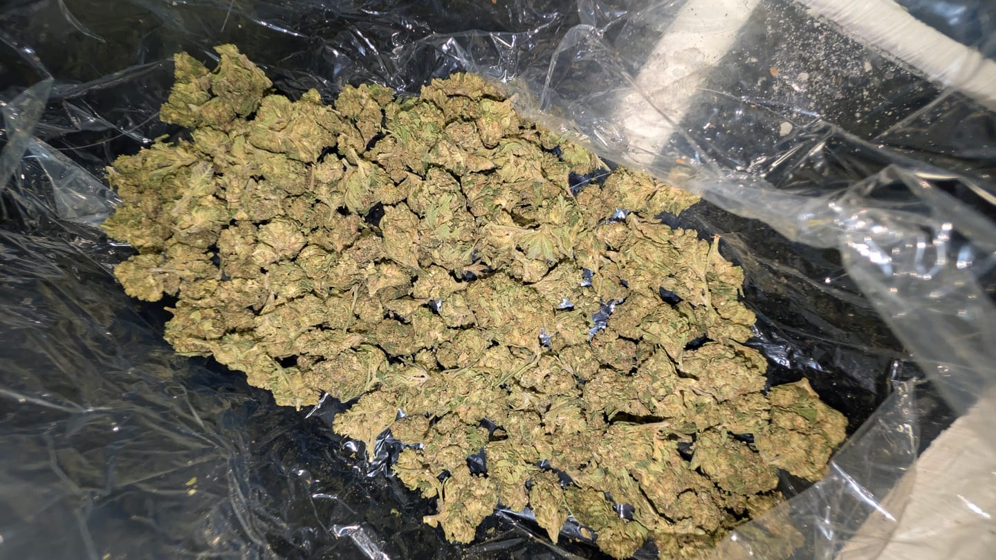 Customer photo review of Grape Soda - Bulk - Sativa
