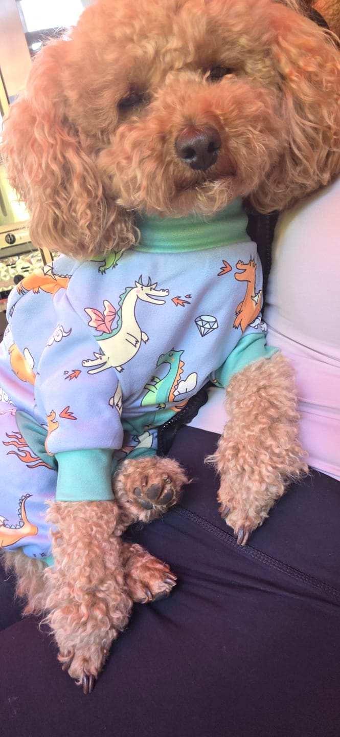 Customer photo review of Dog Pajama - Dragons