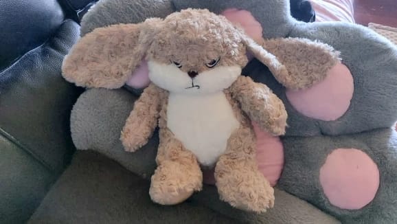 Customer photo review of Pompón™ El Conejito Gruñón Más Abrazable del Mundo