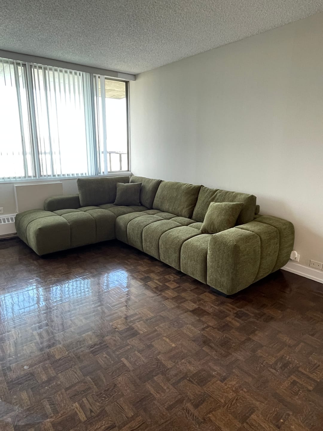 Customer photo review of OLIVIA - Sofa sectionnel 120" vert forêt