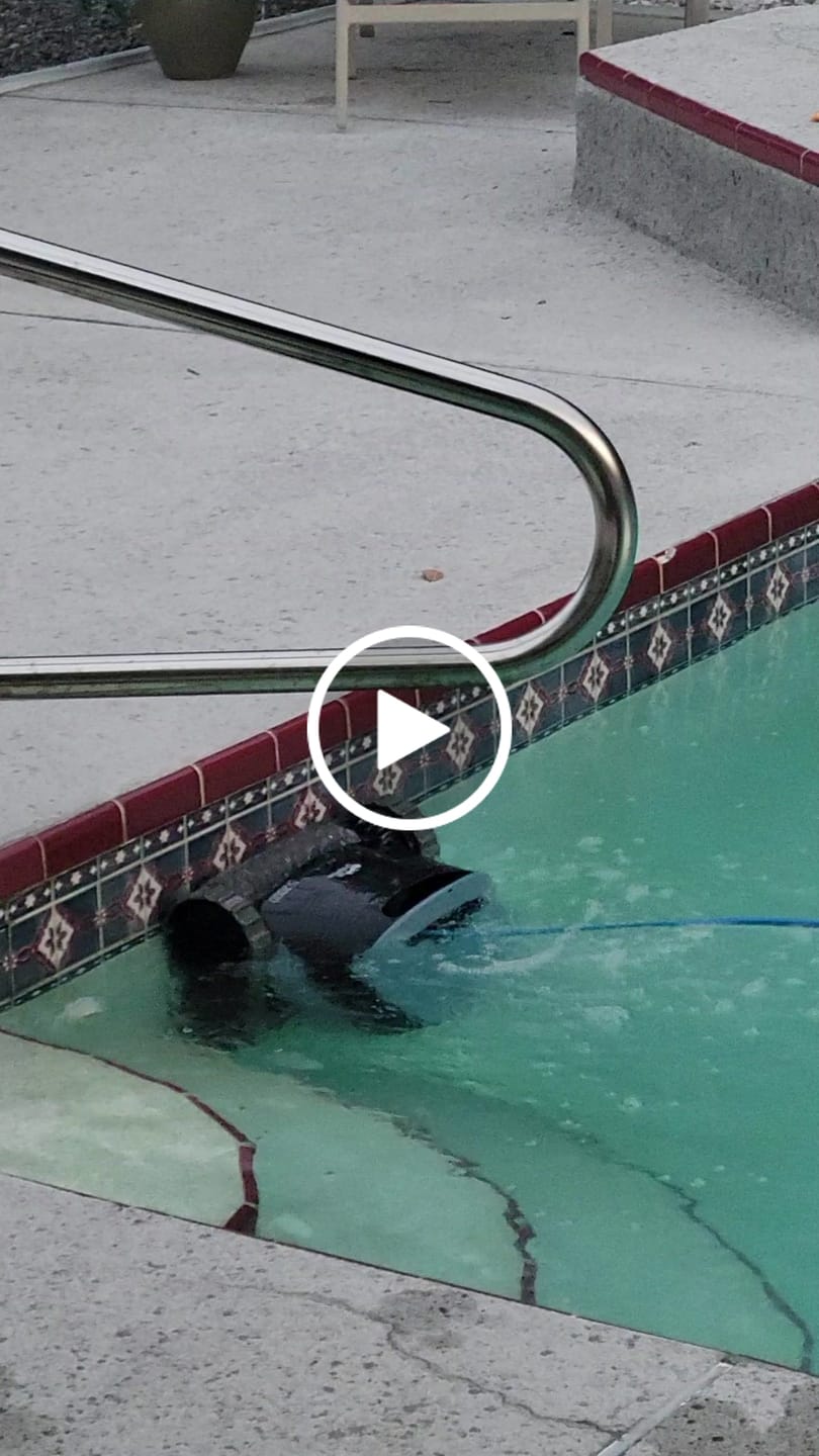 Customer video review of Dolphin S2000 Corded Robotic Pool Vacuum Maytronics