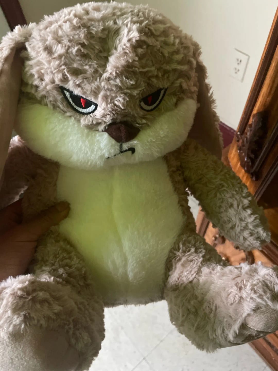 Customer photo review of Pompón™ El Conejito Gruñón Más Abrazable del Mundo