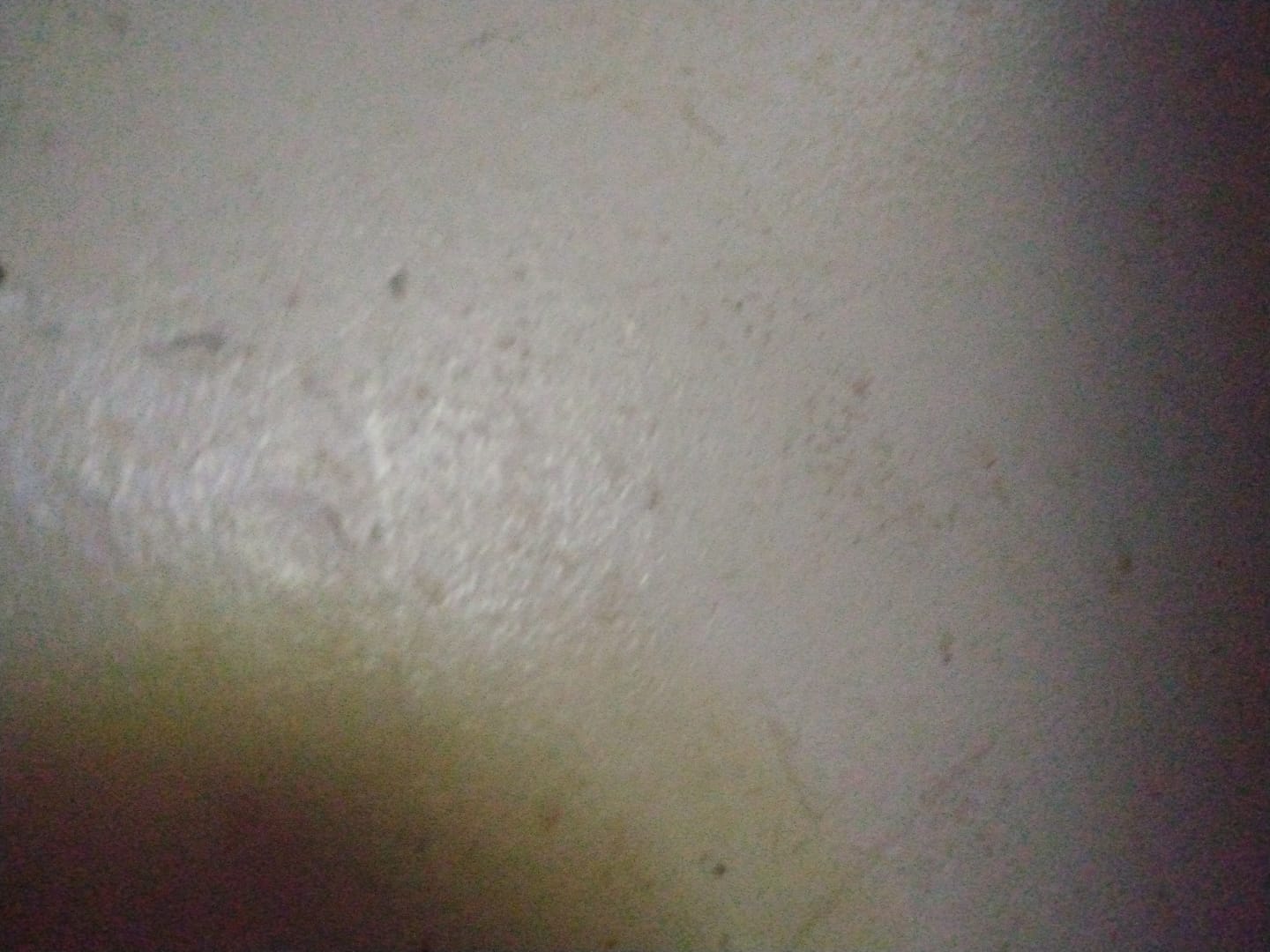 Customer photo review of Obama Kandy - 3.5g
