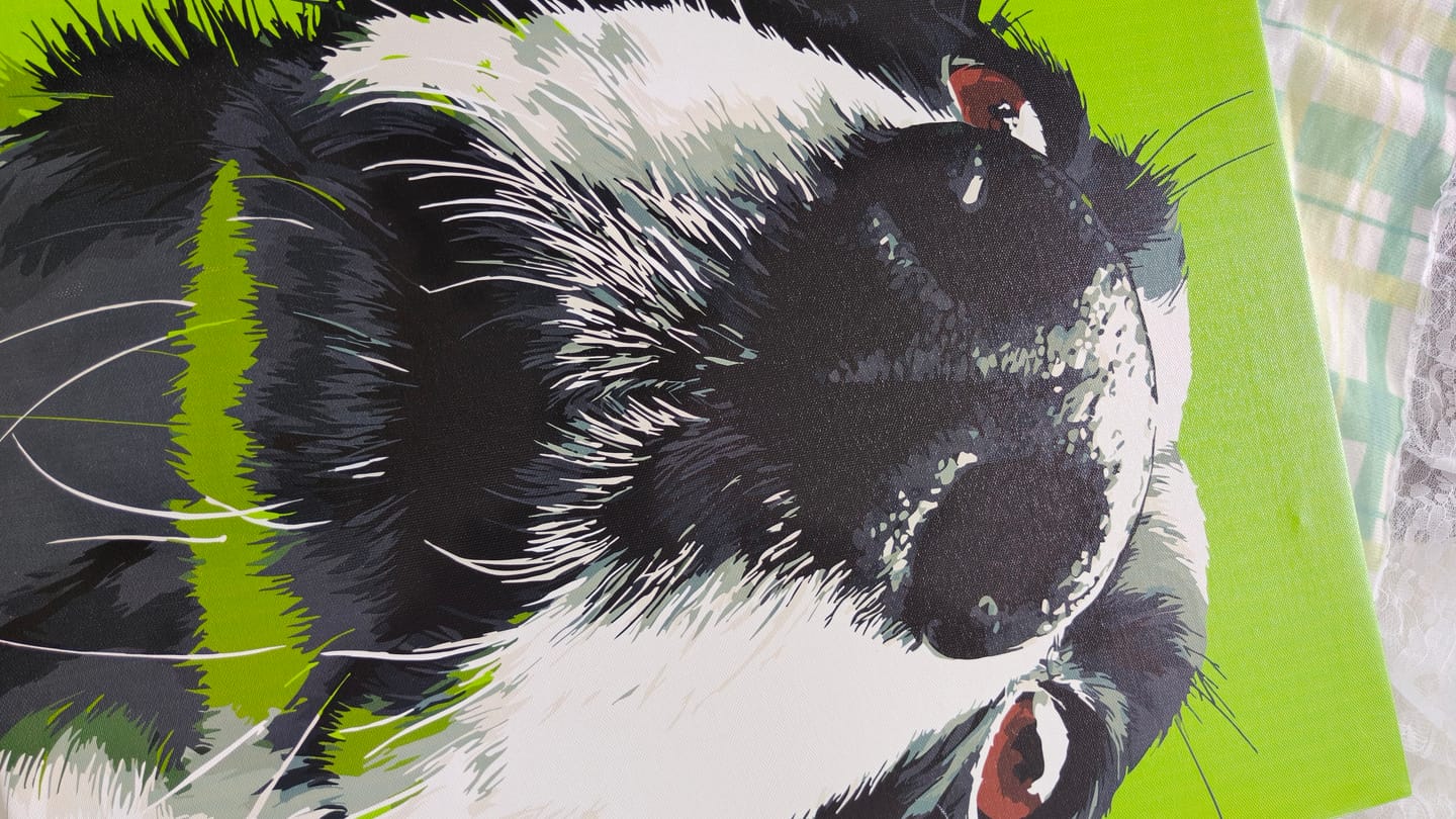 Customer photo review of Sniff Mode | Paint by Number