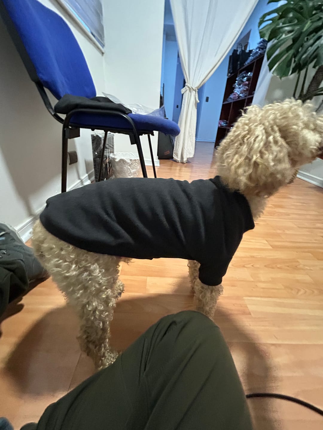 Customer photo review of Polera Térmica Power Stretch™