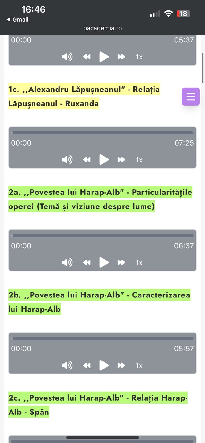 Customer photo review of Audiobook – Eseuri Audio BAC Română (temă și viziune, caracterizare, relație) + Quiz-uri