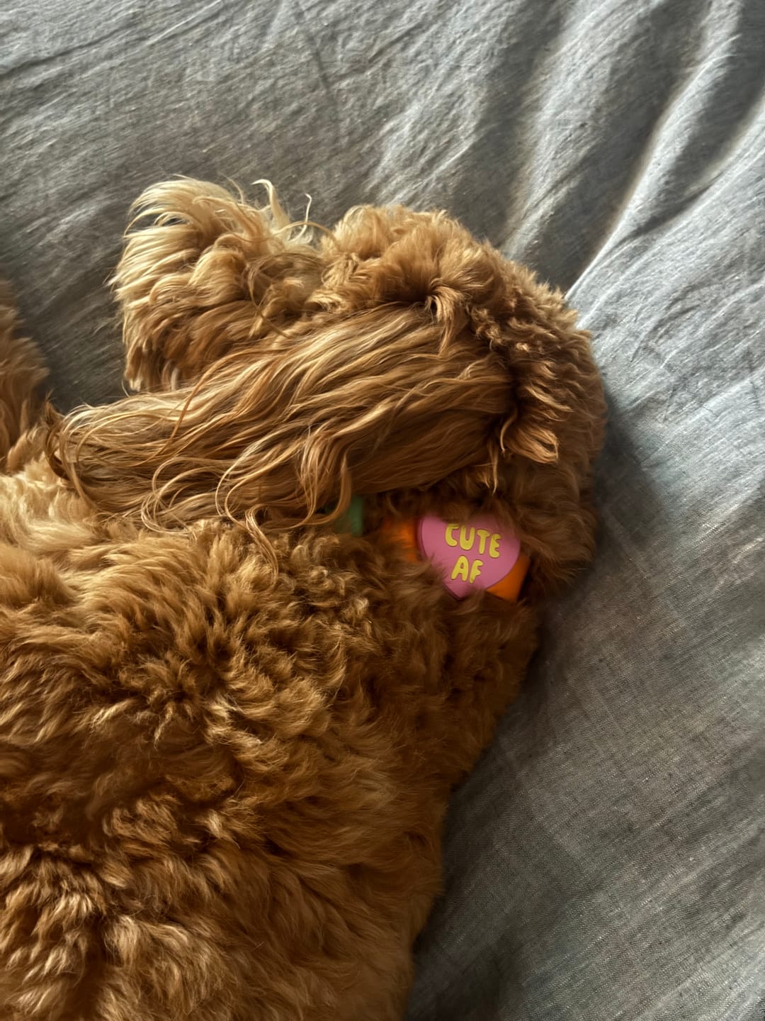 Customer photo review of Mom Tattoo Jiby Dog Charm
