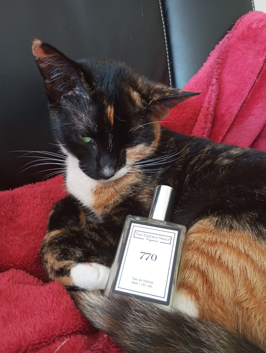 Customer photo review of Inspired By Boujee Marshmallow - 770