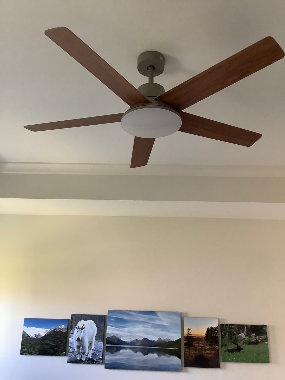 Customer photo review of Smart Ceiling Fan 521S