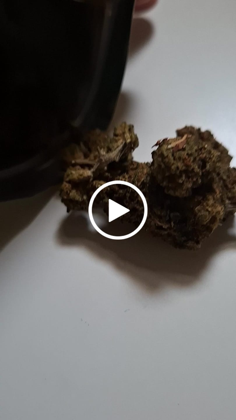 Customer video review of GELATO X 30%