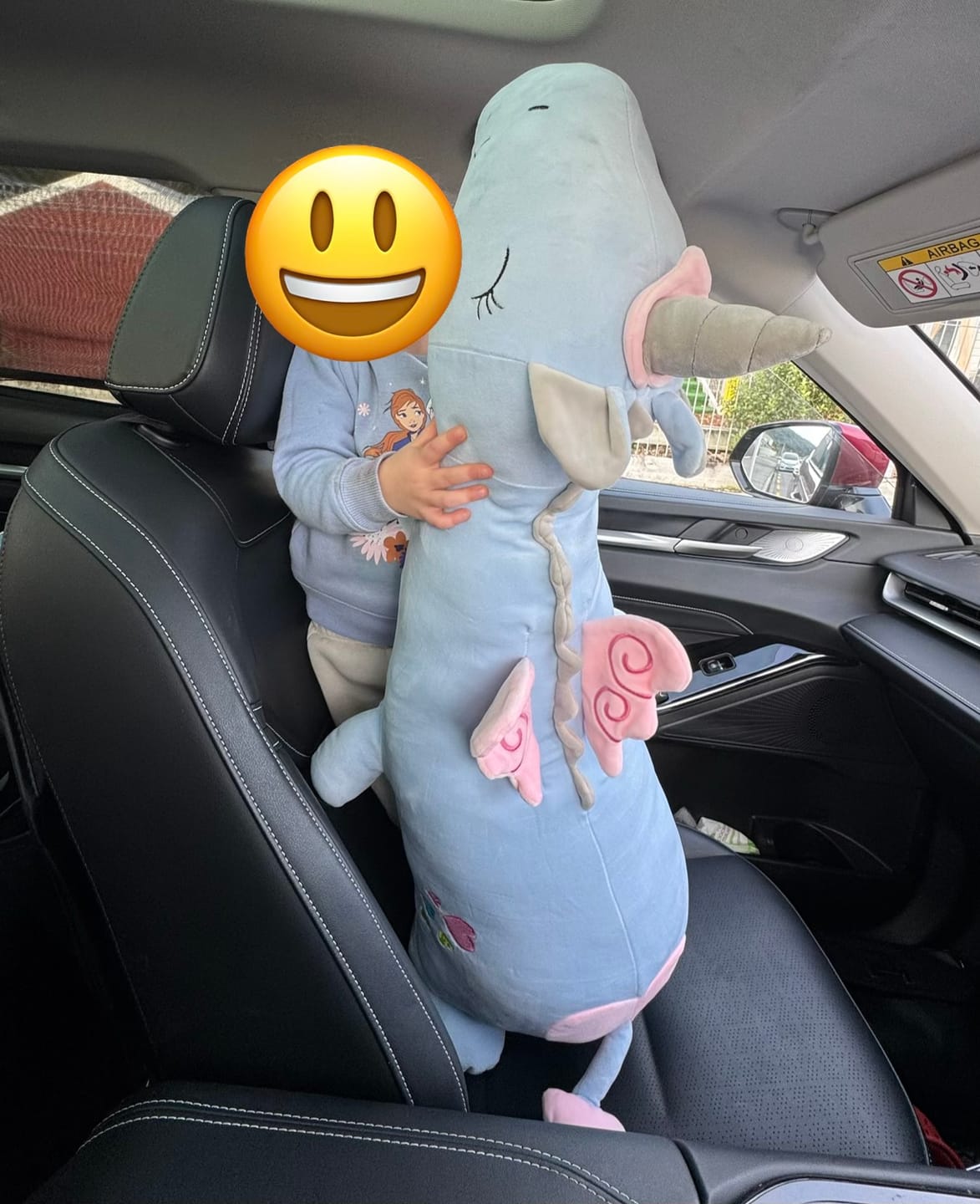 Customer photo review of Giant Cuddly Unicorn Plushie