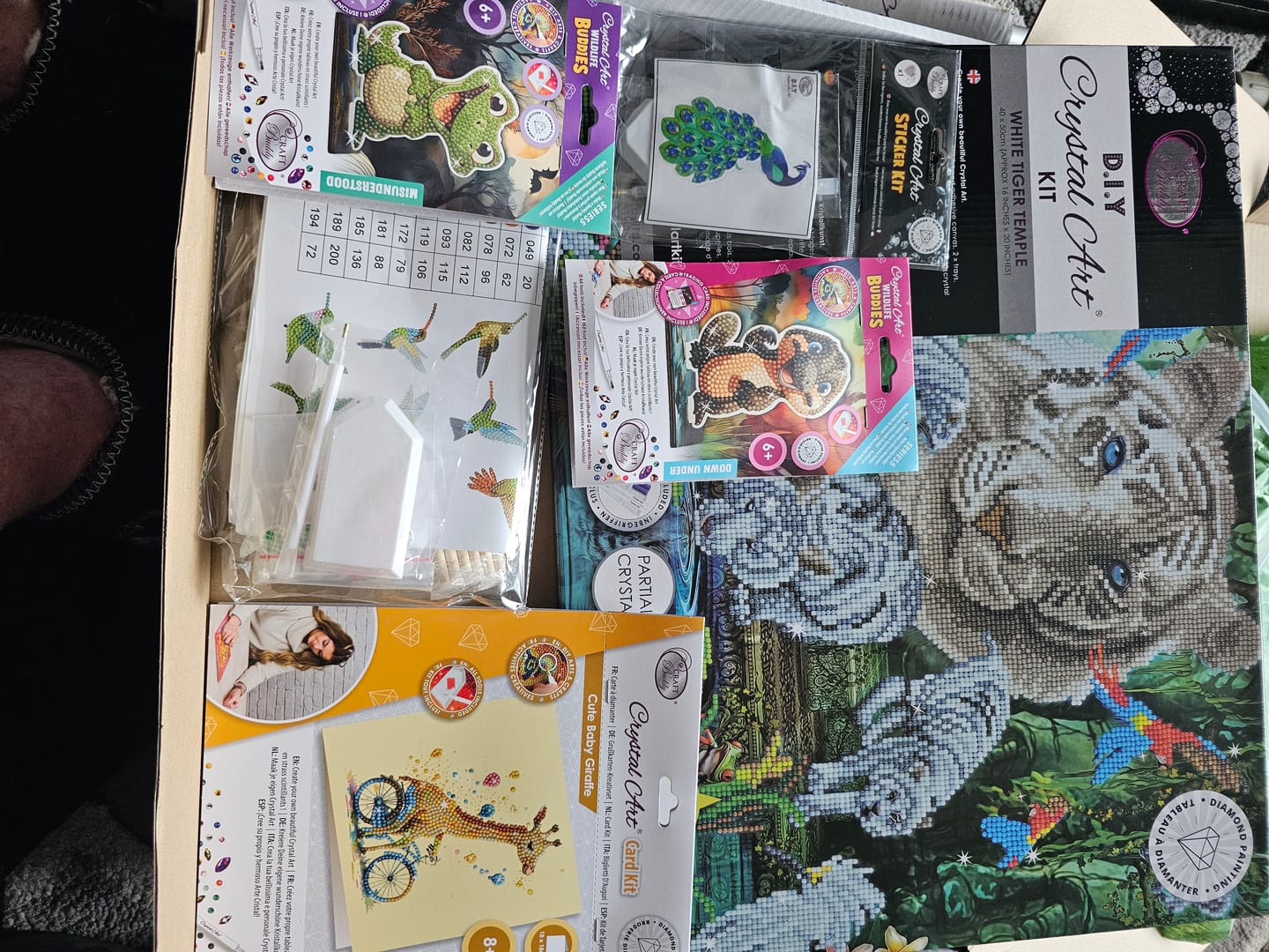 Customer photo review of Wildlife Crystal Art Mystery Box