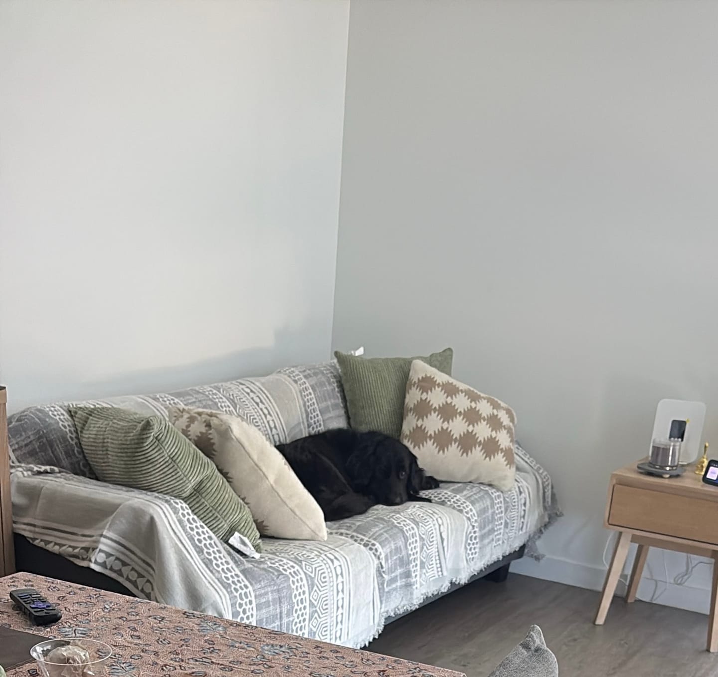 Customer photo review of Pet Couch Cover - Modern Mosaic Grey