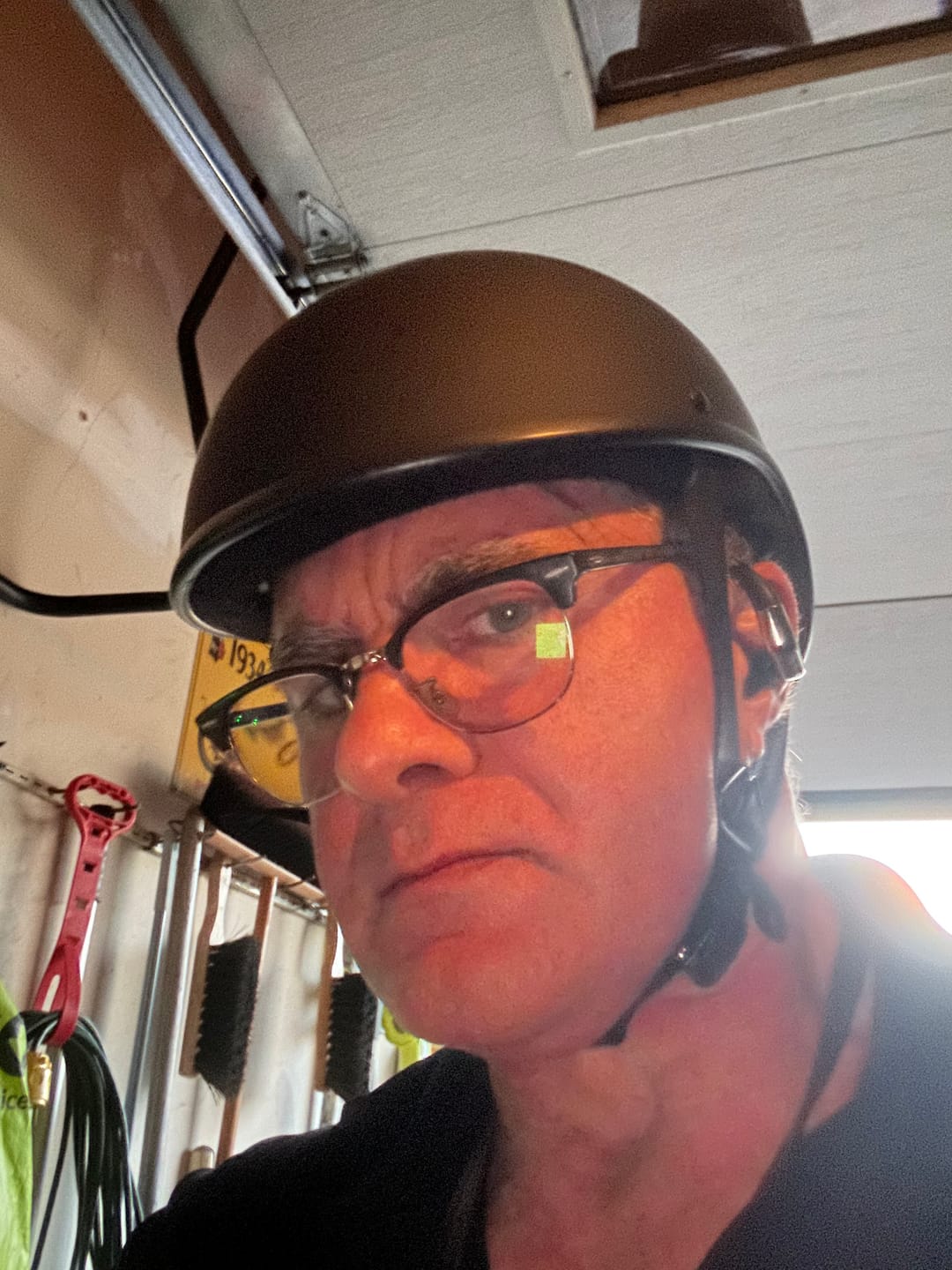 Customer photo review of Maltese DOT SOA Limited Edition