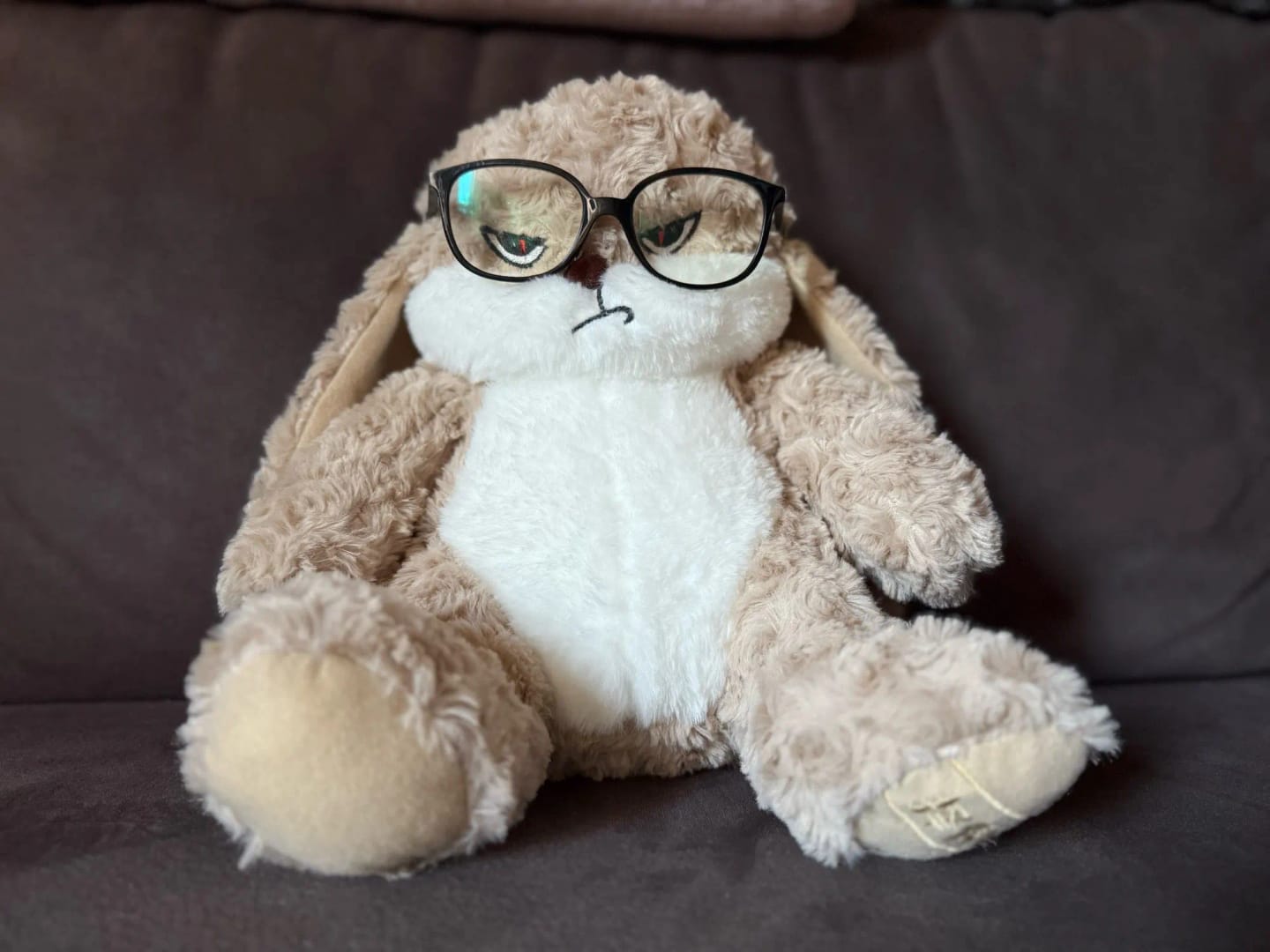 Customer photo review of Pompón™ El Conejito Gruñón Más Abrazable del Mundo